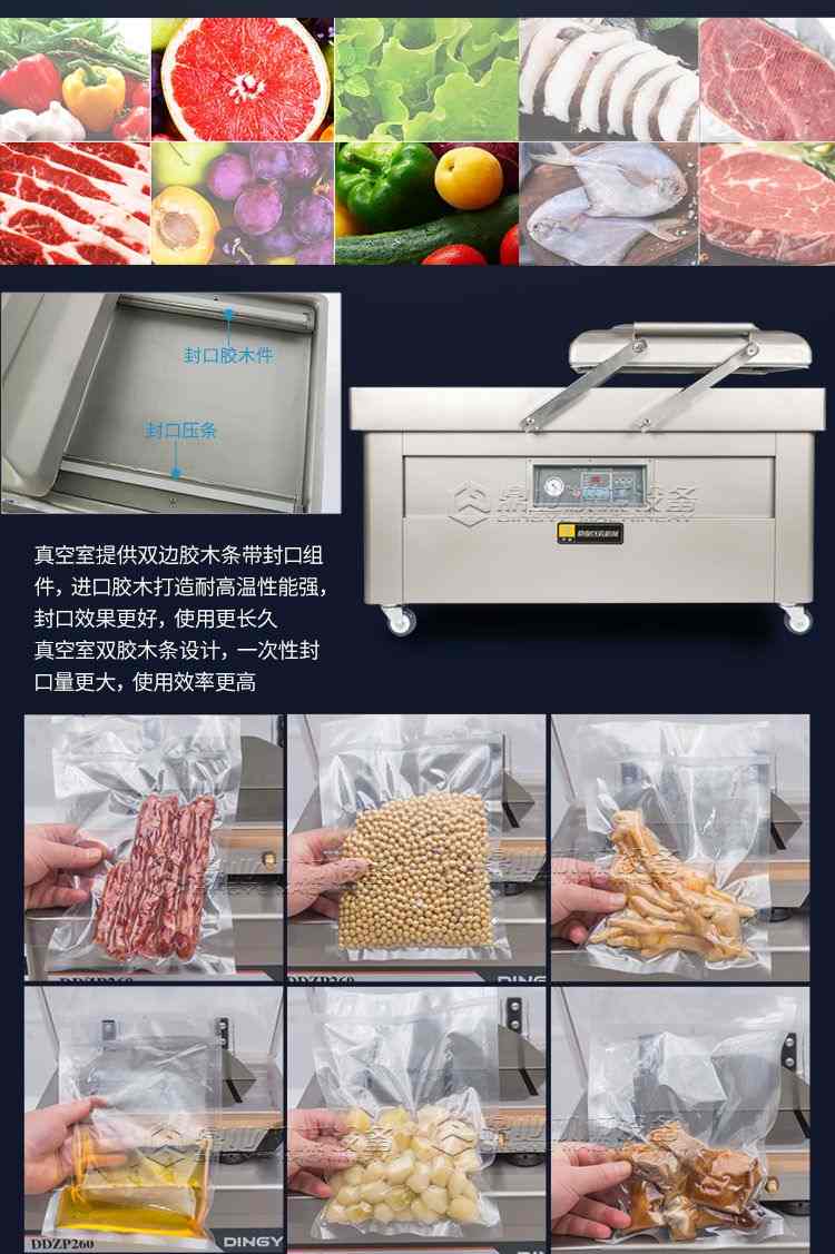 DZ600-2SB双室真空包装机(图5)