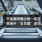 宁夏国资国企新一轮改革提升“全景图”逐渐浮现(图3) 宁夏国资国企新一轮改革提升“全景图”逐渐浮现(图3)