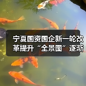 宁夏国资国企新一轮改革提升“全景图”逐渐浮现（图4）