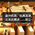 嘉兴机场、杭甬高速、义龙庆高速……浙江一批交通工程有新进展（图1）