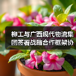 柳工与广西现代物流集团签署战略合作框架协议（图1）