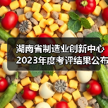 湖南省制造业创新中心2023年度考评结果公布（图4）