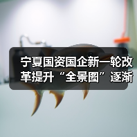 宁夏国资国企新一轮改革提升“全景图”逐渐浮现（图3）