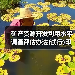 矿产资源开发利用水平调查评估办法(试行)印发（图1）