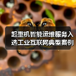 起重机智能运维服务入选工业互联网典型案例(图2) 起重机智能运维服务入选工业互联网典型案例(图2)