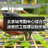 北京城市副中心综合交通枢纽工程建设稳步推进（图1）