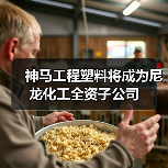 神马工程塑料将成为尼龙化工全资子公司（图1）