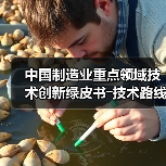 中国制造业重点领域技术创新绿皮书―技术路线图(2023)(图1) 中国制造业重点领域技术创新绿皮书―技术路线图(2023)(图1)