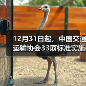 12月31日起，中国交通运输协会33项标准实施（图4）
