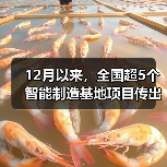 智能制造基地建设提速，未来制造业如何转型？-辰飞雨领航机械网
