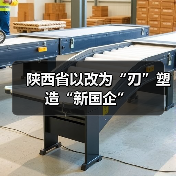 陕西省以改为“刃”塑造“新国企”（图3）