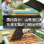 国内首台！山东港口青岛港实现进口输油臂智能对接（图2）