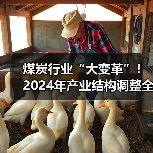 煤炭行业“大变革”!2024年产业结构调整全指南请收好(图4) 煤炭行业“大变革”!2024年产业结构调整全指南请收好(图4)