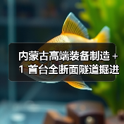 内蒙古高端装备制造＋1 首台全断面隧道掘进机下线（图2）