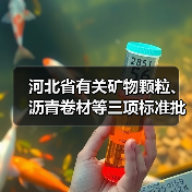 河北省有关矿物颗粒、沥青卷材等三项标准批准立项（图4）
