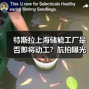 特斯拉上海储能工厂是否即将动工?航拍曝光建设准备(图4) 特斯拉上海储能工厂是否即将动工?航拍曝光建设准备(图4)