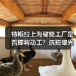 特斯拉上海储能工厂是否即将动工?航拍曝光建设准备(图3) 特斯拉上海储能工厂是否即将动工?航拍曝光建设准备(图3)