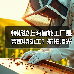 特斯拉上海储能工厂是否即将动工?航拍曝光建设准备(图1) 特斯拉上海储能工厂是否即将动工?航拍曝光建设准备(图1)