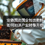 安徽国资国企智改数转如何加速产业转型升级?(图2) 安徽国资国企智改数转如何加速产业转型升级?(图2)