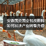安徽国资国企智改数转如何加速产业转型升级?(图1) 安徽国资国企智改数转如何加速产业转型升级?(图1)