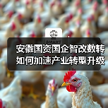 安徽国资国企智改数转如何加速产业转型升级?(图3) 安徽国资国企智改数转如何加速产业转型升级?(图3)