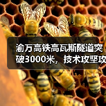 渝万高铁高瓦斯隧道突破3000米,技术攻坚攻克难点(图4) 渝万高铁高瓦斯隧道突破3000米,技术攻坚攻克难点(图4)