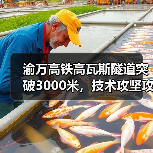渝万高铁高瓦斯隧道突破3000米,技术攻坚攻克难点(图2) 渝万高铁高瓦斯隧道突破3000米,技术攻坚攻克难点(图2)