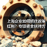 上海企业如何抓住政策红利？专项资金扶持方向全解析（图3）