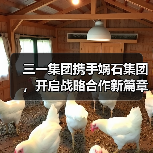 三一集团携手娲石集团,开启战略合作新篇章(图1) 三一集团携手娲石集团,开启战略合作新篇章(图1)