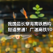 我国最长穿海高铁盾构隧道贯通!广湛高铁90分钟连通广湛(图1) 我国最长穿海高铁盾构隧道贯通!广湛高铁90分钟连通广湛(图1)