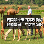 我国最长穿海高铁盾构隧道贯通!广湛高铁90分钟连通广湛(图3) 我国最长穿海高铁盾构隧道贯通!广湛高铁90分钟连通广湛(图3)