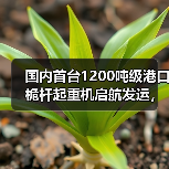 国内首台1200吨级港口桅杆起重机启航发运,赋能海上风电建设(图4) 国内首台1200吨级港口桅杆起重机启航发运,赋能海上风电建设(图4)