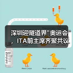 深圳迎隧道界 深圳迎隧道界