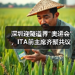 深圳迎隧道界 深圳迎隧道界