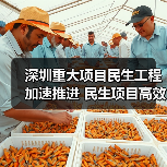 深圳重大项目民生工程加速推进 民生项目高效落实(图3) 深圳重大项目民生工程加速推进 民生项目高效落实(图3)