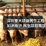 深圳重大项目民生工程加速推进 民生项目高效落实(图2) 深圳重大项目民生工程加速推进 民生项目高效落实(图2)