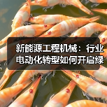 新能源工程机械:行业电动化转型如何开启绿色新篇章?(图1) 新能源工程机械:行业电动化转型如何开启绿色新篇章?(图1)