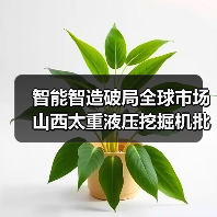 智能智造破局全球市场 山西太重液压挖掘机批量出海(图3) 智能智造破局全球市场 山西太重液压挖掘机批量出海(图3)