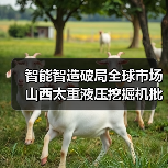 智能智造破局全球市场 山西太重液压挖掘机批量出海(图4) 智能智造破局全球市场 山西太重液压挖掘机批量出海(图4)