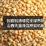 智能智造破局全球市场 山西太重液压挖掘机批量出海(图2) 智能智造破局全球市场 山西太重液压挖掘机批量出海(图2)