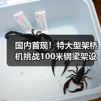 国内首现!特大型架桥机挑战100米钢梁架设难题(图3) 国内首现!特大型架桥机挑战100米钢梁架设难题(图3)