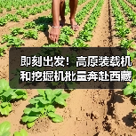 即刻出发!高原装载机和挖掘机批量奔赴西藏应对极限挑战(图4) 即刻出发!高原装载机和挖掘机批量奔赴西藏应对极限挑战(图4)