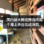 国内最大跨度跨海桥首个海上承台完成浇筑,为通车奠定基础(图1) 国内最大跨度跨海桥首个海上承台完成浇筑,为通车奠定基础(图1)