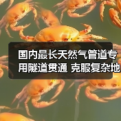 国内最长天然气管道专用隧道贯通 克服复杂地质挑战(图4) 国内最长天然气管道专用隧道贯通 克服复杂地质挑战(图4)