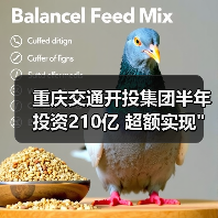 重庆交通开投集团半年投资210亿 超额实现 重庆交通开投集团半年投资210亿 超额实现