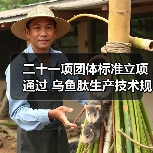 二十一项团体标准立项通过 乌鱼肽生产技术规程发布(图3) 二十一项团体标准立项通过 乌鱼肽生产技术规程发布(图3)