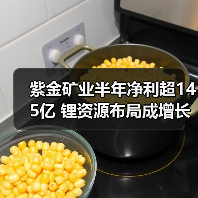 紫金矿业半年净利超145亿 锂资源布局成增长新引擎(图2) 紫金矿业半年净利超145亿 锂资源布局成增长新引擎(图2)