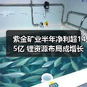紫金矿业半年净利超145亿 锂资源布局成增长新引擎(图3) 紫金矿业半年净利超145亿 锂资源布局成增长新引擎(图3)