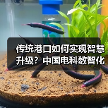 传统港口如何实现智慧升级?中国电科数智化方案解析(图3) 传统港口如何实现智慧升级?中国电科数智化方案解析(图3)