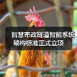 智慧市政隧道智能系统架构标准正式立项(图1) 智慧市政隧道智能系统架构标准正式立项(图1)